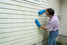 Best Custom Trim and Detailing for Siding  in Woodville, WI